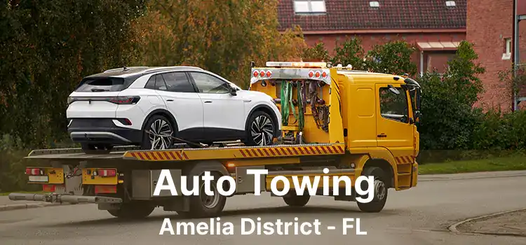 Auto Towing Amelia District - FL