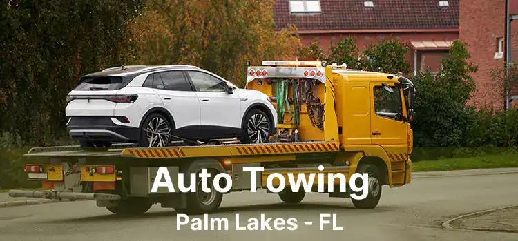 Auto Towing Palm Lakes - FL