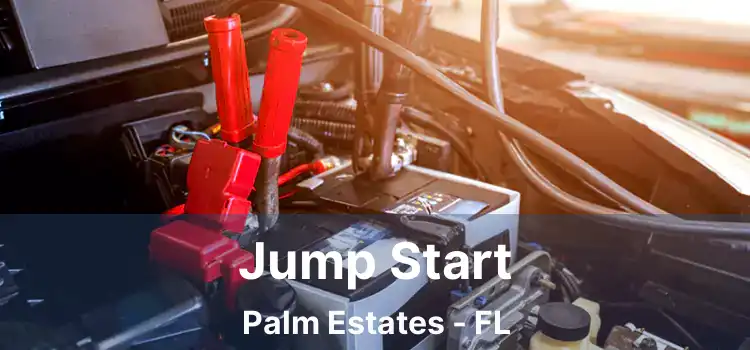 Jump Start Palm Estates - FL