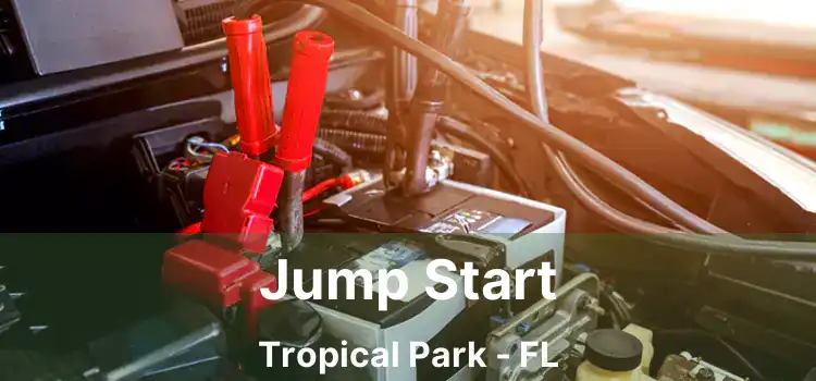 Jump Start Tropical Park - FL