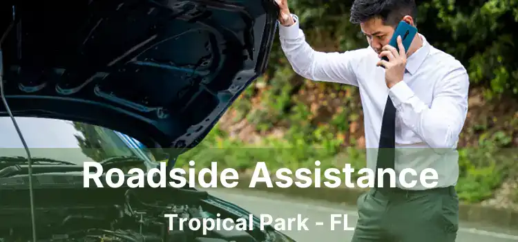 Roadside Assistance Tropical Park - FL