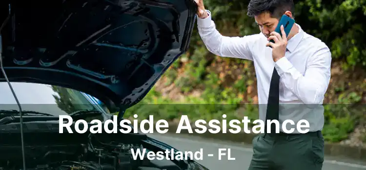 Roadside Assistance Westland - FL