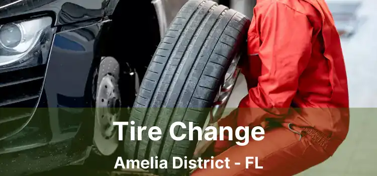 Tire Change Amelia District - FL