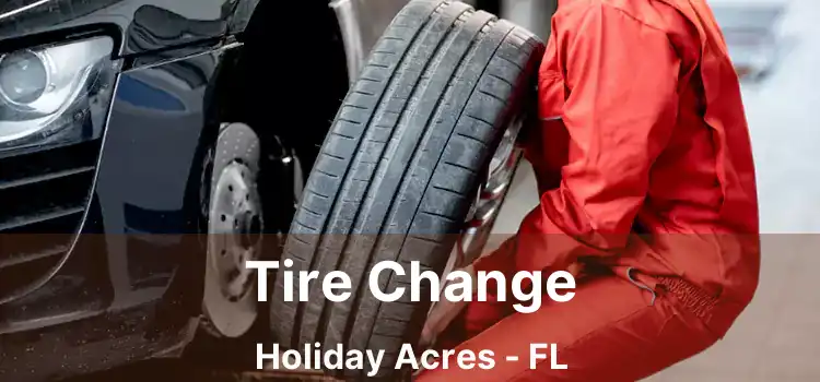 Tire Change Holiday Acres - FL