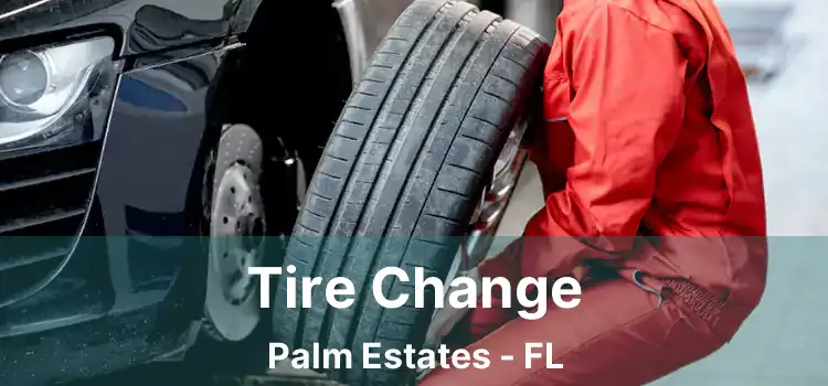 Tire Change Palm Estates - FL