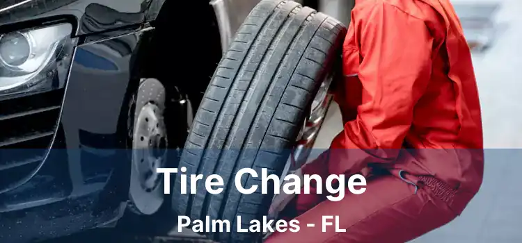 Tire Change Palm Lakes - FL