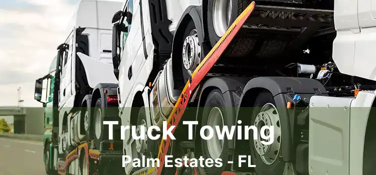 Truck Towing Palm Estates - FL