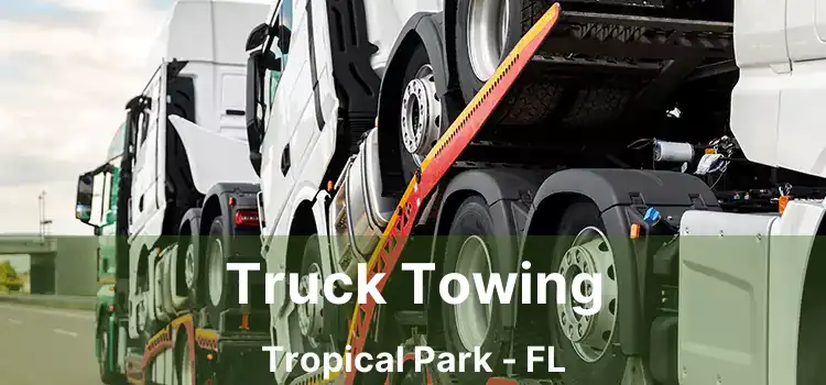 Truck Towing Tropical Park - FL