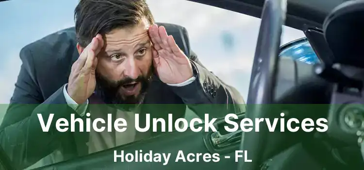 Vehicle Unlock Services Holiday Acres - FL