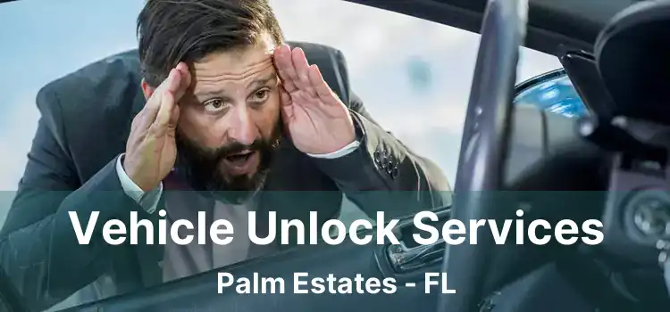 Vehicle Unlock Services Palm Estates - FL