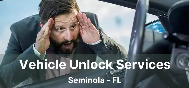 Vehicle Unlock Services Seminola - FL