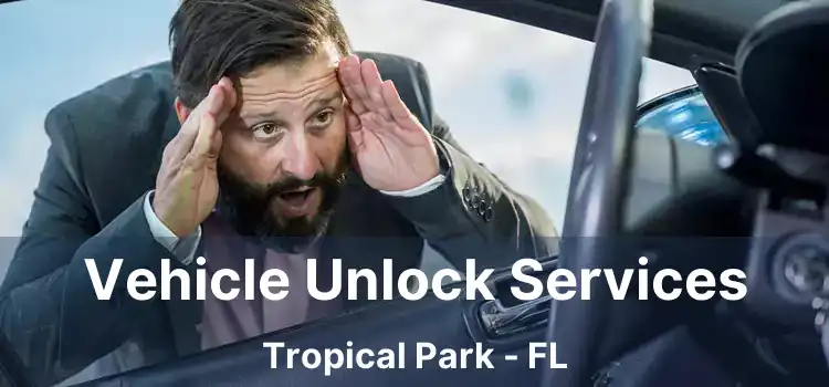 Vehicle Unlock Services Tropical Park - FL