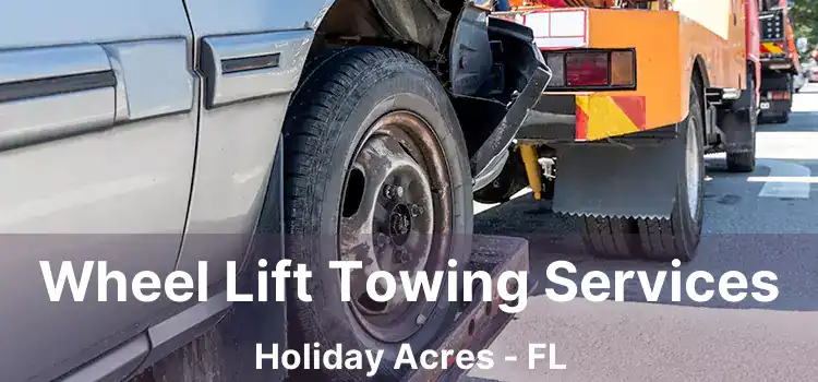 Wheel Lift Towing Services Holiday Acres - FL