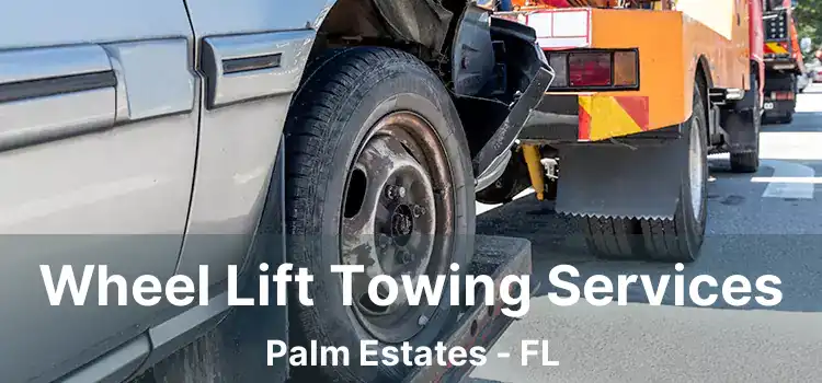 Wheel Lift Towing Services Palm Estates - FL