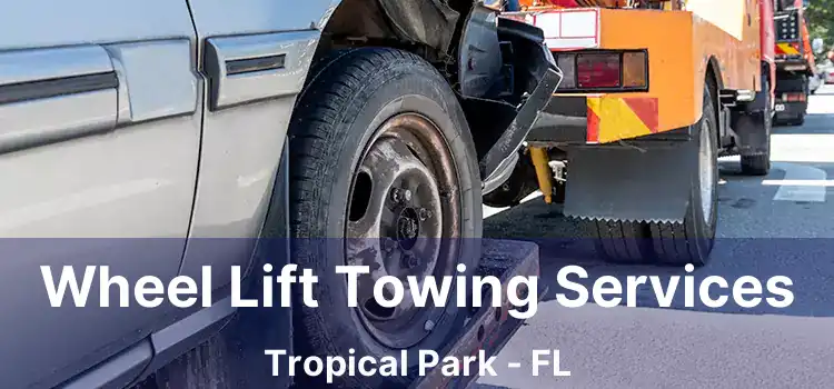 Wheel Lift Towing Services Tropical Park - FL