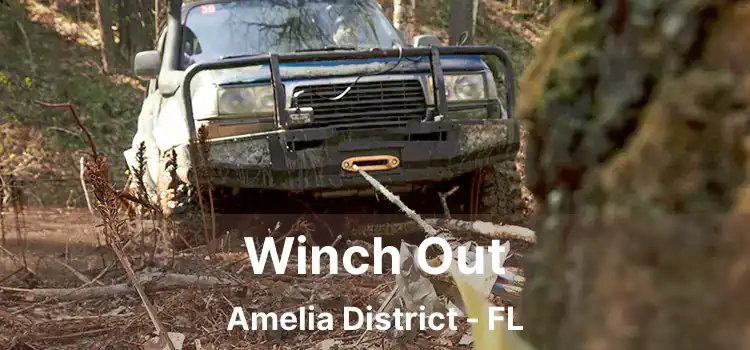 Winch Out Amelia District - FL