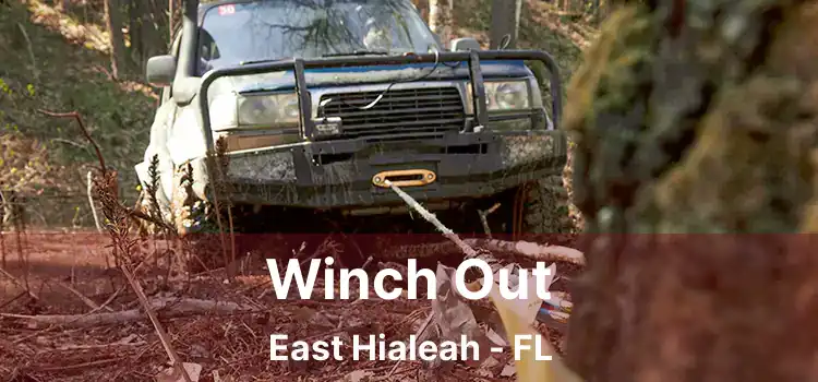 Winch Out East Hialeah - FL