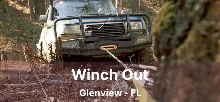 Winch Out Glenview - FL