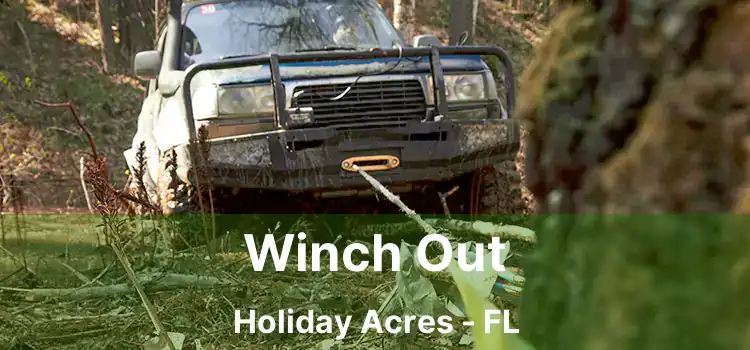 Winch Out Holiday Acres - FL