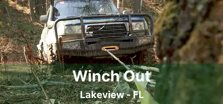 Winch Out Lakeview - FL