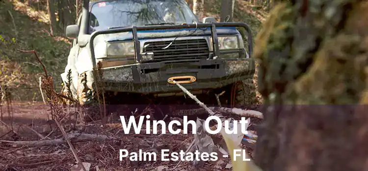 Winch Out Palm Estates - FL