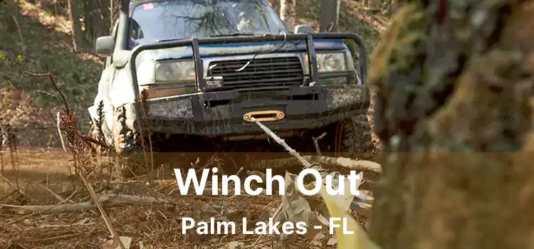 Winch Out Palm Lakes - FL