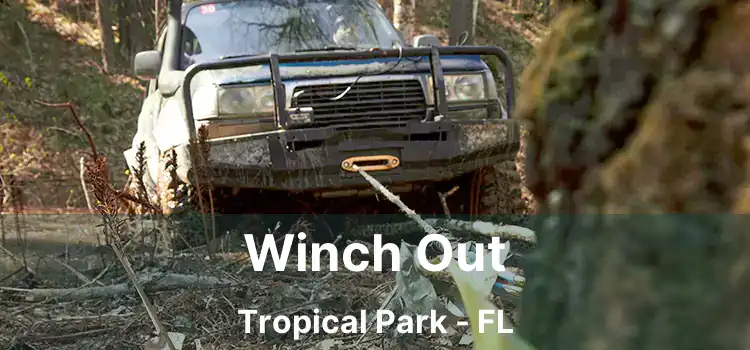 Winch Out Tropical Park - FL