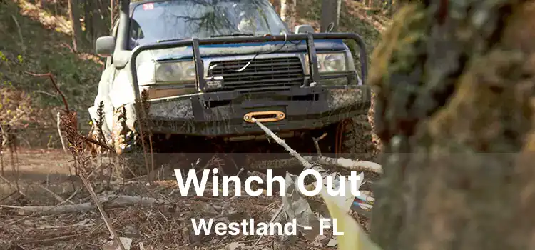 Winch Out Westland - FL