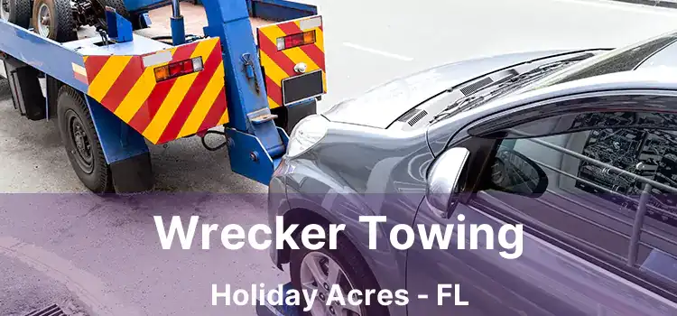 Wrecker Towing Holiday Acres - FL