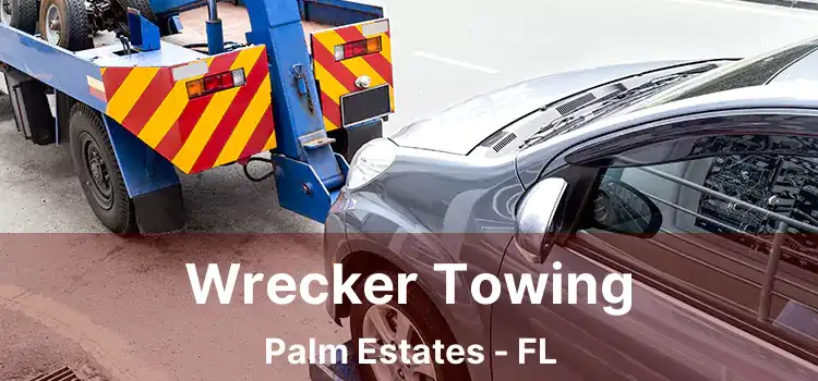 Wrecker Towing Palm Estates - FL