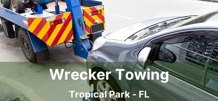 Wrecker Towing Tropical Park - FL