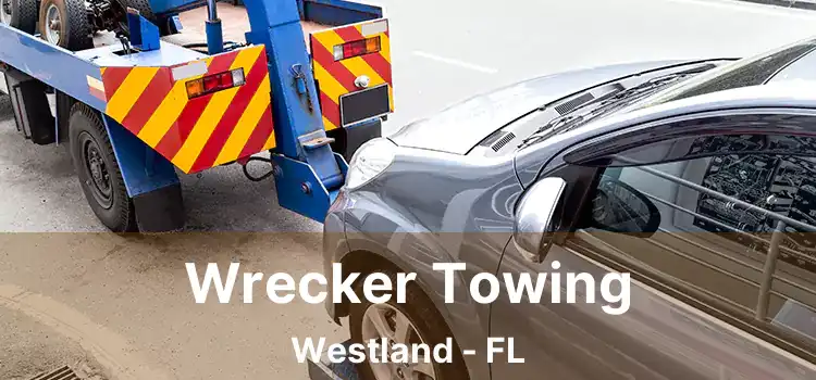 Wrecker Towing Westland - FL